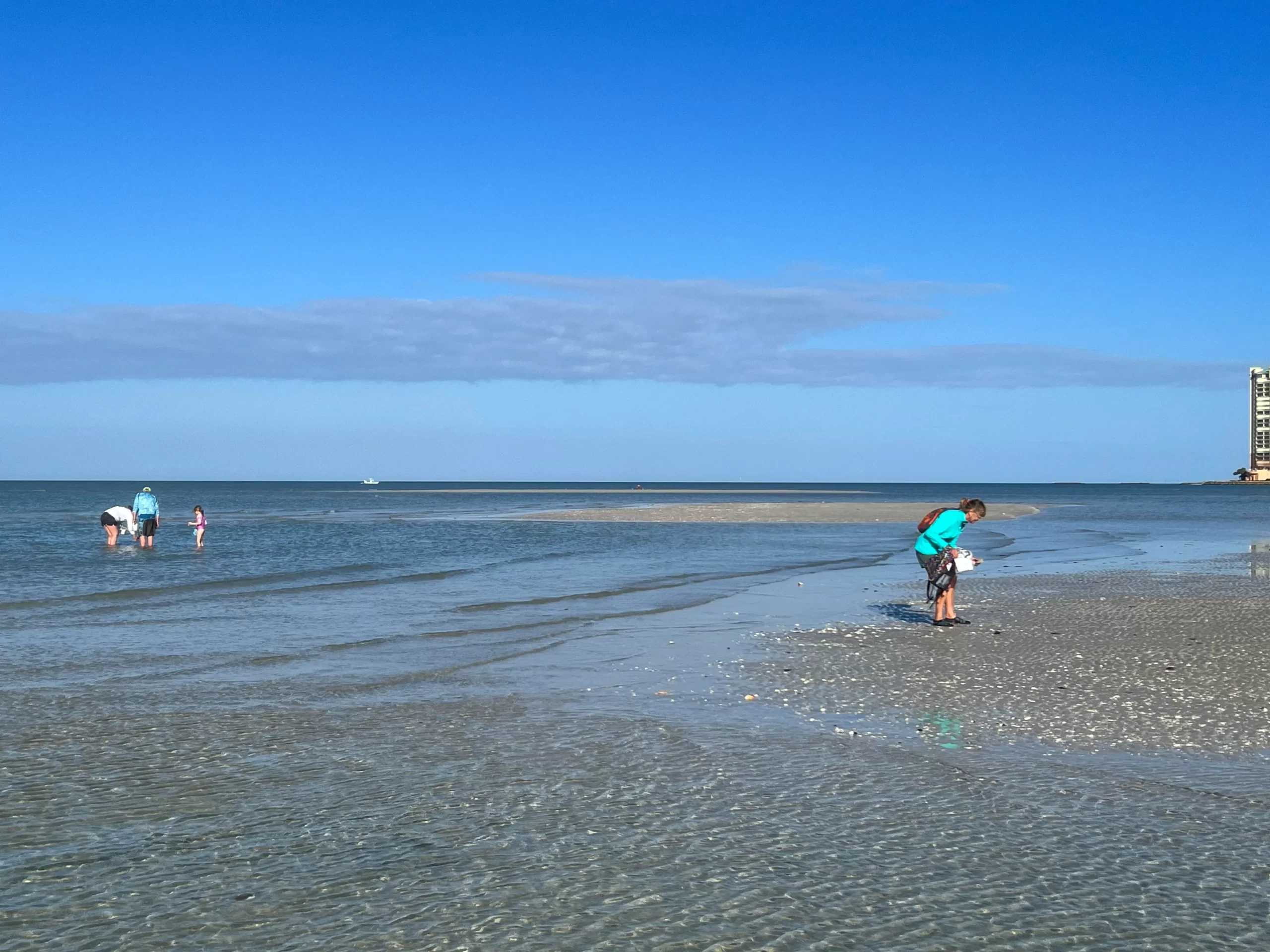 Marco Island Shelling Tides